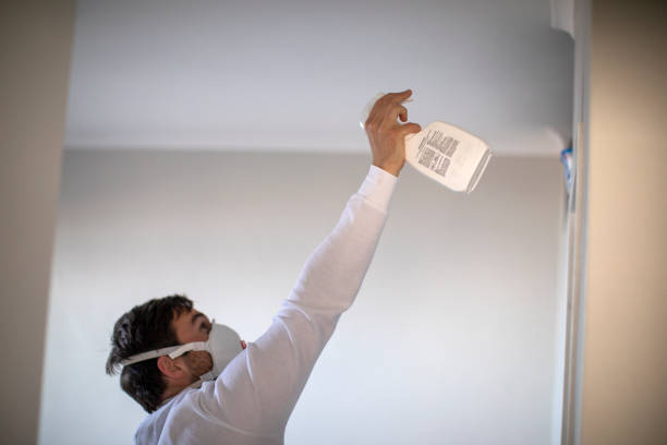 Best Mold Cleaning Services  in Dowagiac, MI